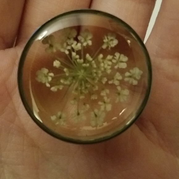 Plugs - Picture 3 of 3